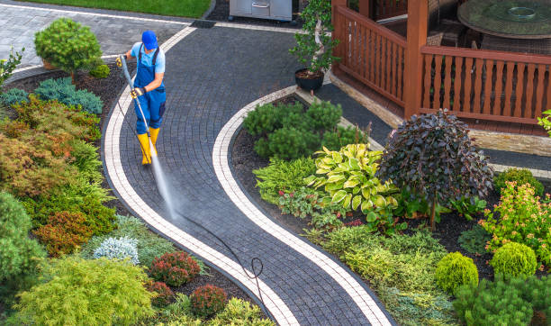 Best Deck Cleaning Services  in Mayville, WI
