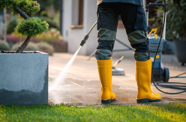 Roof Power Washing Services in Mayville, WI